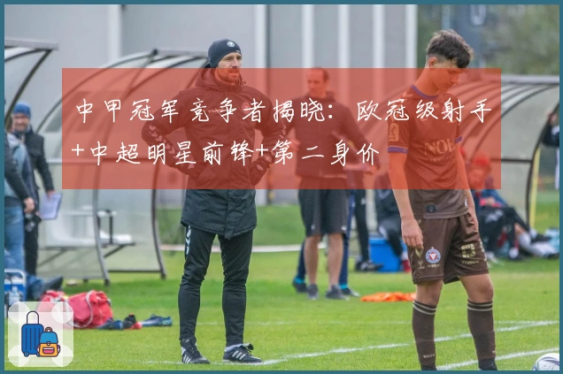 中甲冠军竞争者揭晓：欧冠级射手+中超明星前锋+第二身价