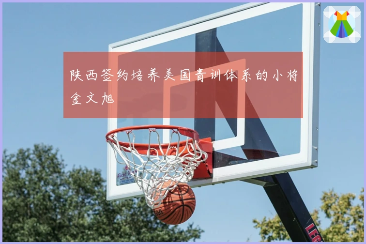 陕西签约培养美国青训体系的小将金文旭