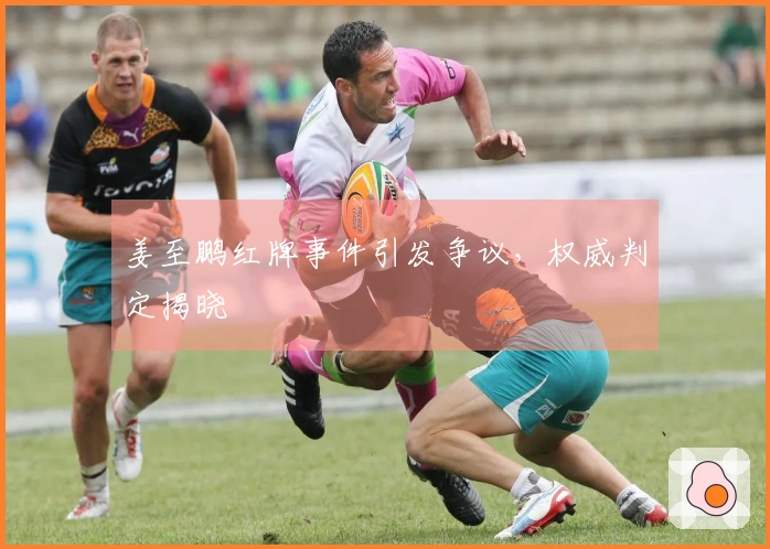 姜至鹏红牌事件引发争议,权威判定揭晓